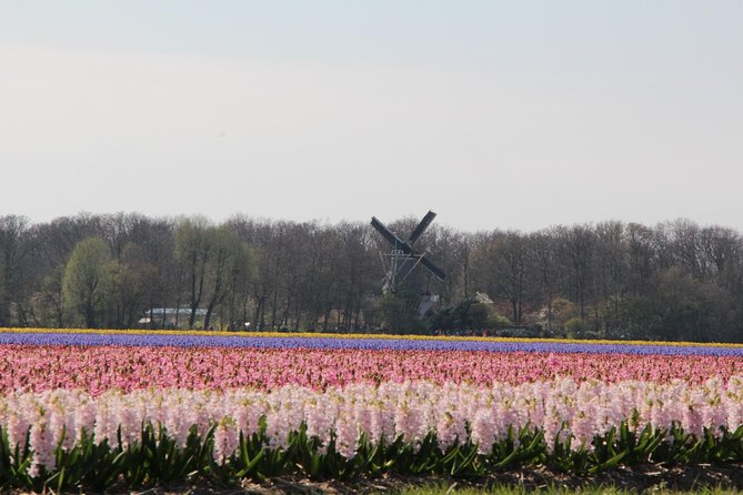 Day Trip To Tulip Gardens Of Keukenhof From Amsterdam: Private & Personalized - Exploring Keukenhofs Floral Highlights with a Guide