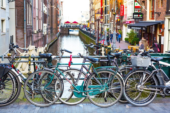 Day Trip To Tulip Gardens Of Keukenhof From Amsterdam: Private & Personalized - Cycling Through the Flower Fields