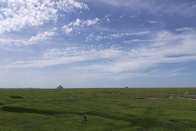 Day Trip with a local driver Mont Saint Michel from Saint Malo 6h - The Sum Up: A Flexible and Comfortable Day Trip