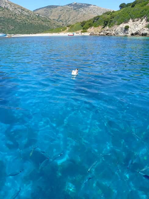 Day trips by dinghy to Capo Figari and Figarolo - Practical Details: Meeting Point and What to Bring