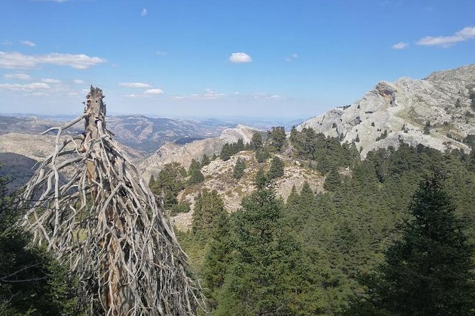 Dayhikes with pick-up from Marbella and Estepona - Key Points