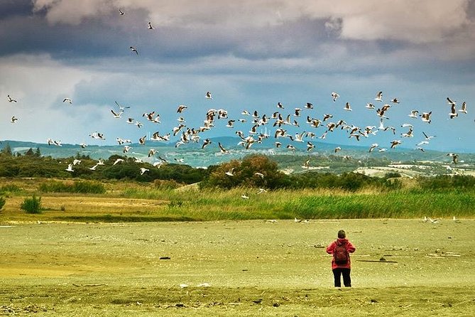 Dayhikes with pick-up from Marbella and Estepona - Comparing the Experience to Other Outdoor Activities