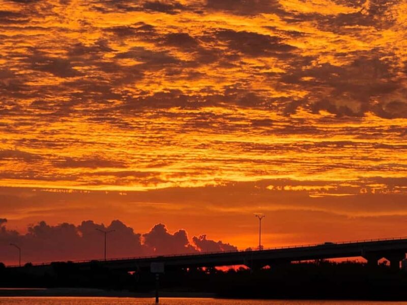 Daytona Beach: Sunset River Cruise with Dolphin Watching - Experience the Beauty of Daytona Beach Sunset with Dolphin Watching