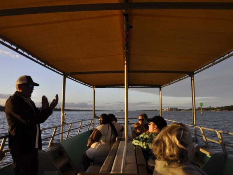 Daytona Beach: Sunset River Cruise with Dolphin Watching - Spot Playful Dolphins and Learn About Their Habits