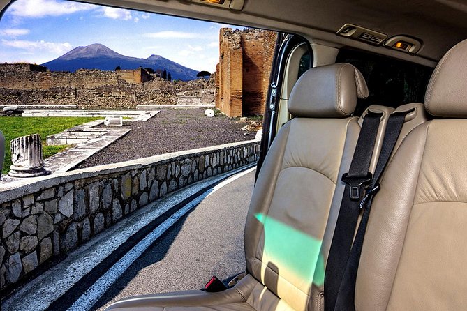 Daytrip from Naples port to Pompei, Sorrento & Positano - Private Transportation and Port Convenience in Naples