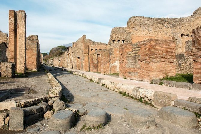 Daytrip from Rome to Pompei and Sorrento - The Experience of the Guides and Drivers