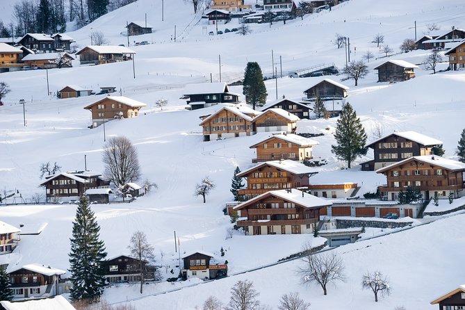 Daytrip to Jungfraujoch Top of Europe with EigerExpress Gondola Ride from Zürich - The Ice Palace and Alpine Sensation Experience