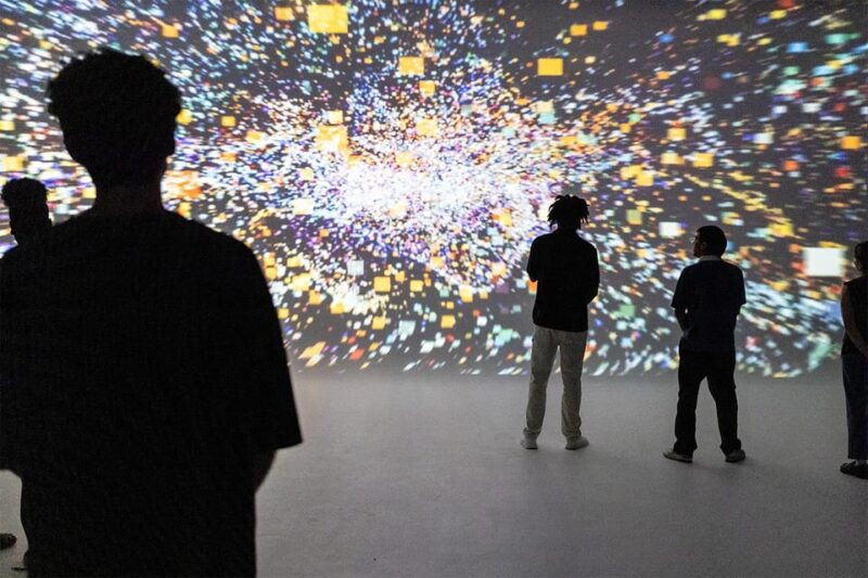 DC: All Creation Sings- Museum of the Bible Exhibition Entry - Practical Details: Meeting Point and Accessibility