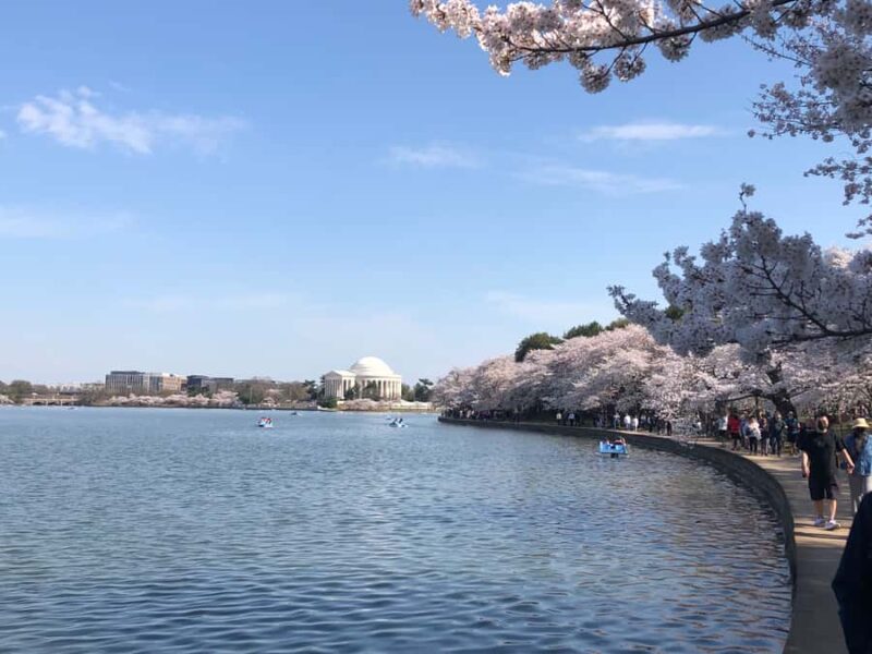 DC: Cherry Blossoms & Tidal Basin Memorials Walking Tour - Practical Details and Logistics