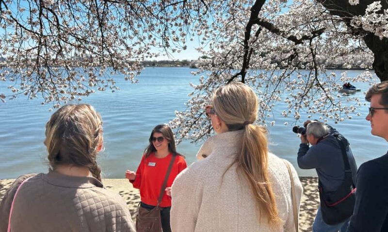 DC: Cherry Blossoms & Tidal Basin Memorials Walking Tour - Washington DC’s Cherry Blossom & Memorials Tour: Perfect for a Spring Afternoon