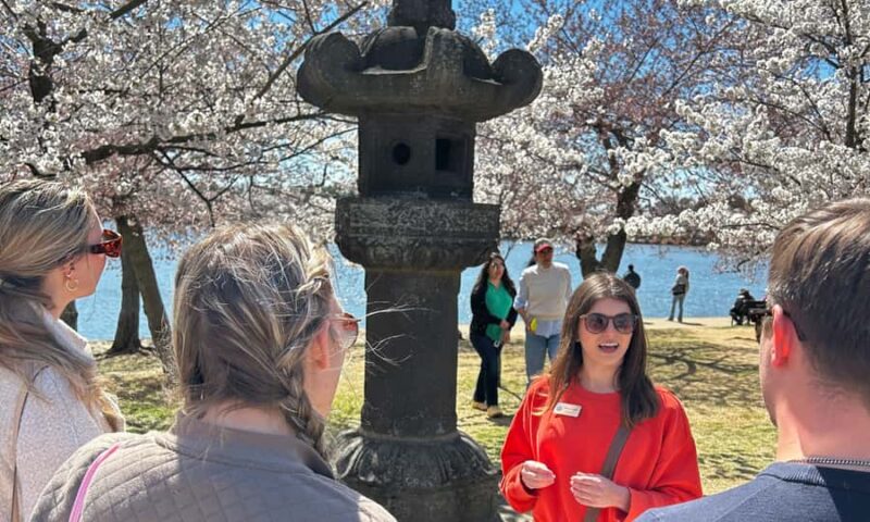 DC: Cherry Blossoms & Tidal Basin Memorials Walking Tour - Frequently Asked Questions