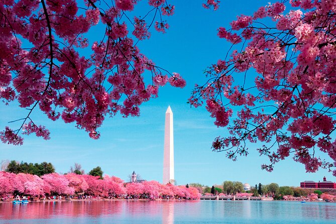 DC City Tour + Washington Monument, Air & Space, African American - Explore Washington DCs Most Famous Landmarks in Just Three Hours