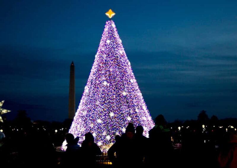 DC: Downtown Ultimate Holiday Walking Tour with Hot Cocoa - The National Christmas Tree and Pathway of Peace at The Ellipse