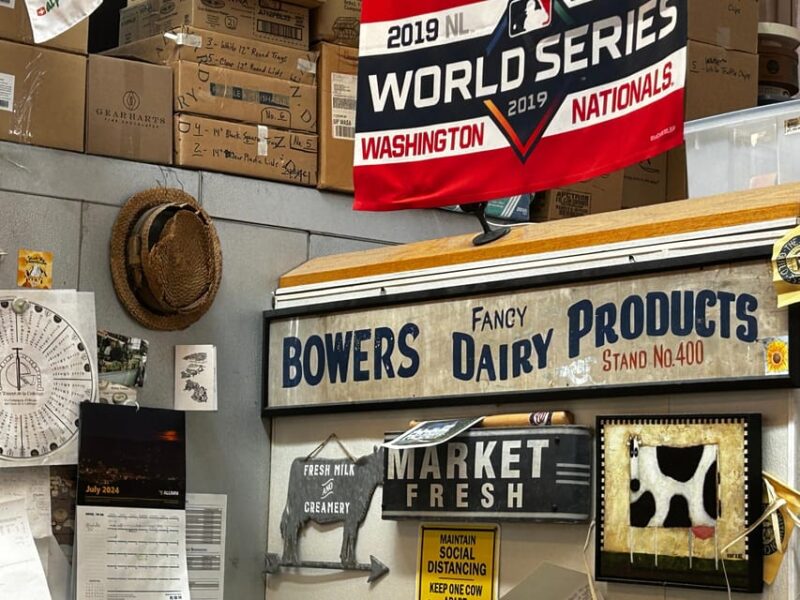 DC: Eastern Market Eats Food Tour (5 Food Stops + Dessert) - Pacing and Overall Experience