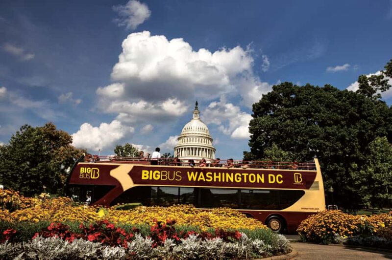DC: Hop-on Hop-off, Night Tour, and Arlington Audio Guide - Key Points