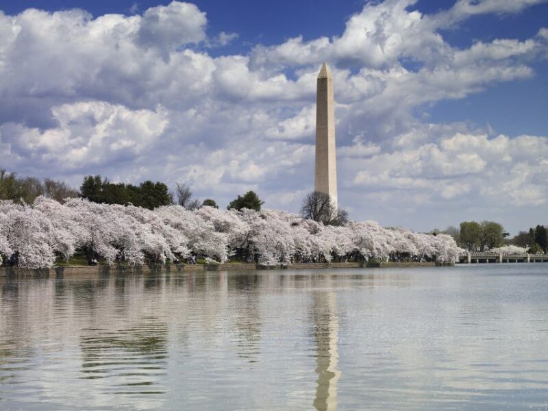 DC: Tour with U.S. Capitol Ground Access - Exploring Monuments and Memorials by Foot and Bus