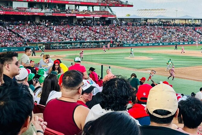 DE DE Baseball match day experience in DE Mexico City - Mexico City Baseball Tour: Final Perspective