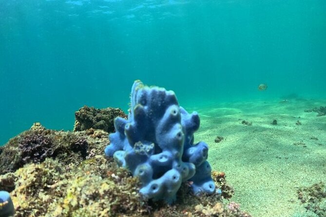 DE Huatulco Secret Reefs Snorkeling Tour DE Huatulco - Transport and Meeting Arrangements