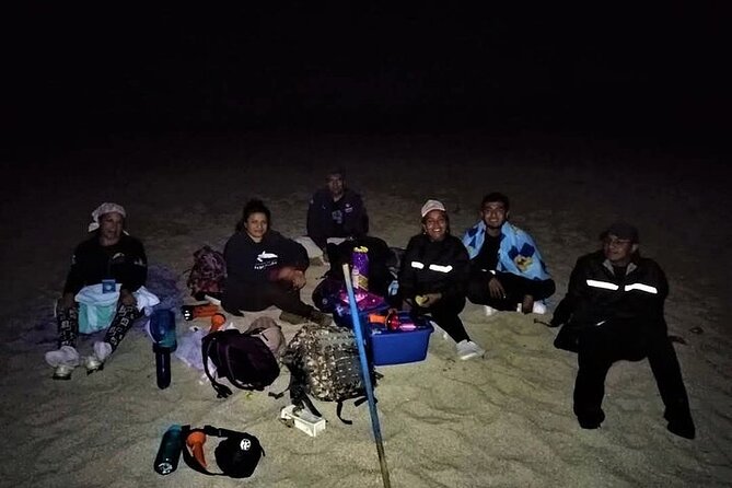 DE rismo and Night Monitoring of Sea Turtles - Frequently Asked Questions