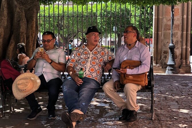 DE San Miguel DE Allende Guanajuato Day Tour from CDMX - Practicalities and Accessibility