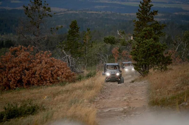 Deadwood: Roughlock Falls Canyon UTV Adventure - Deadwood: Roughlock Falls Canyon UTV Adventure – Who Will Enjoy It Most