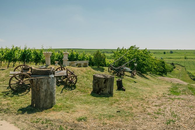 Dealu Mare wine country tour - Lunch Included - Visiting Conacul Bellu: A Historic Mansion and Museum