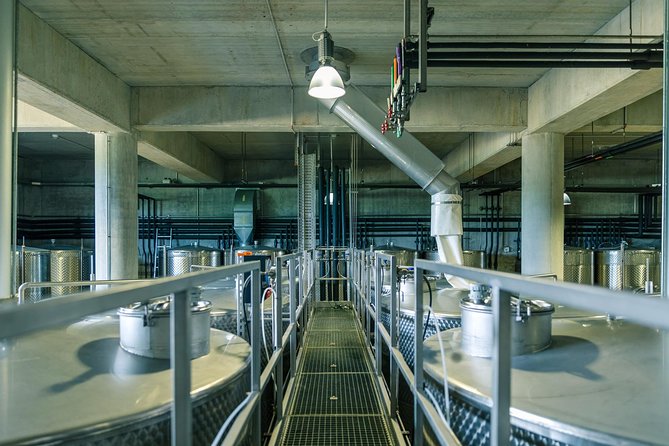 Dealu Mare wine country tour - Lunch Included - Flexibility and Booking Options