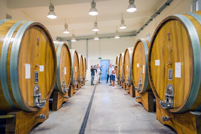 Dealu Mare wine country tour - Lunch Included - Final Thoughts on the Dealu Mare Wine Country Tour