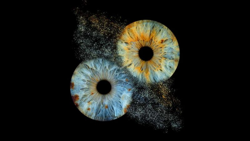 Deauville: Reveal the beauty of your iris with Iris Galerie - The Setting in Deauville: An Artistic Escape