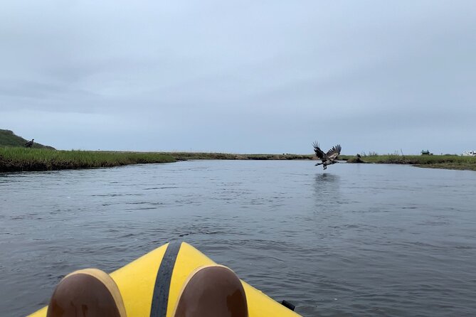 Deep Creek 1/2 Day Packraft Tour - Detailed Packrafting Experience on Deep Creek
