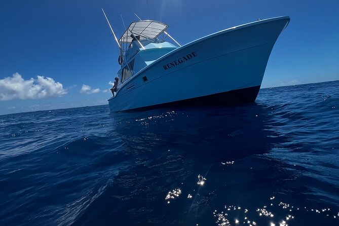 Deep Sea Exclusive Fishing Charter in Honolulu - Watching the Honolulu Skyline and Sunrise Views