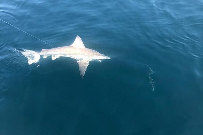 Deep Sea Private Trip on the Deep Obsession - Key Points