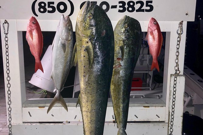 Deep Sea Private Trip on the Deep Obsession - Deep Sea Fishing in Destin: Who Will Appreciate This Tour?