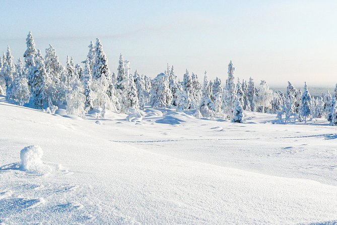 Deep Snow Powder Driving - Discover the Ultimate Deep Snow Powder Driving Adventure in Rovaniemi