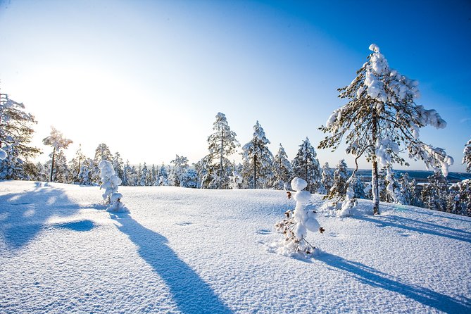 Deep Snow Powder Driving - The Unique Landscape of Rovaniemis Wilderness