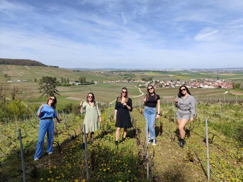 Dégustation de champagne balade panoramique dans les vignes - Ride Through the Vineyards in a Land Rover Defender