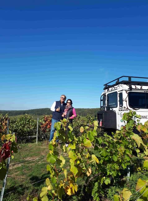 Dégustation de champagne balade panoramique dans les vignes - Accessibility and Suitability
