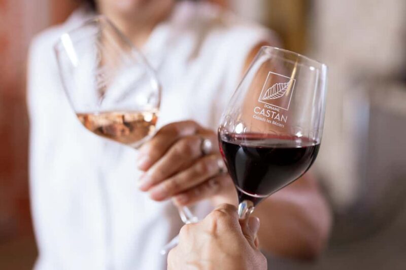 Dégustation Terroir : Journey to the heart of Domaine Castan's flavours - The Mystery of the Four Wines from Domaine Castan