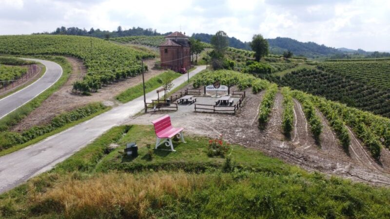 Degustazione di vini del Monferrato con visita della cantina - Discover Monferrato’s Wine and Cuisine on a Private Tour in Italy’s UNESCO Hills
