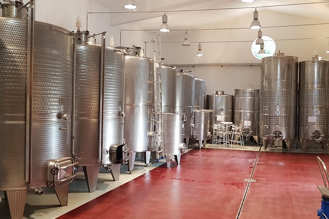 Delightful Tuscany wine experience in charming places - Practical Details and Accessibility