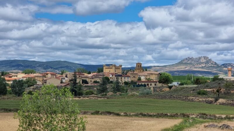 Delivery Bike Rental and Guided Tours in La Rioja - Private Guide Tours Tailored to Your Interests