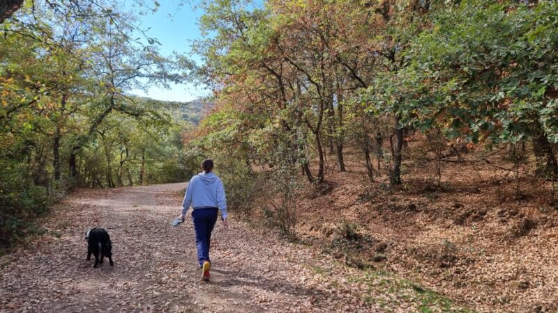 Delivery Bike Rental and Guided Tours in La Rioja - What’s Included in the Bike Rental Package