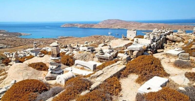 Delos and Mykonos One Day Cruise from Naxos - Departing from Naxos and the 45-Minute Sea Journey