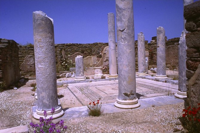 DELOS, the island of god Apollo - The Value of a Private, Expert-Guided Experience