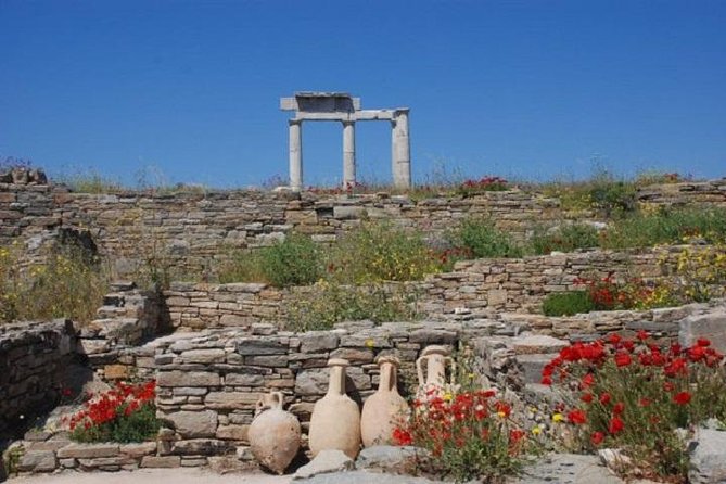 Delos Tour from Mykonos - Practical Tips: Group Size, Timing, and Crowd Management