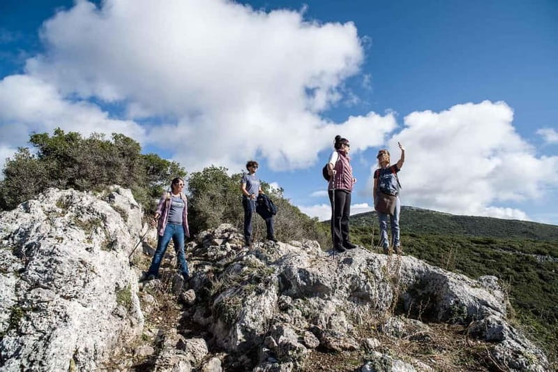 Delphi: Ancient Footpath Guided Hike - Views Over Delphi and the Corinthian Gulf
