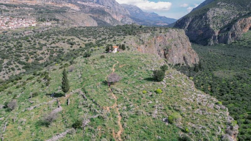 Delphi: Easy Hike on Ancient Path through the Olive Groves - Explore the Ancient Path from Delphi to Chriso with Stunning Views and Fun Activities