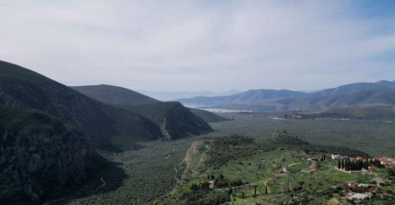Delphi: Easy Hike on Ancient Path through the Olive Groves - Key Points