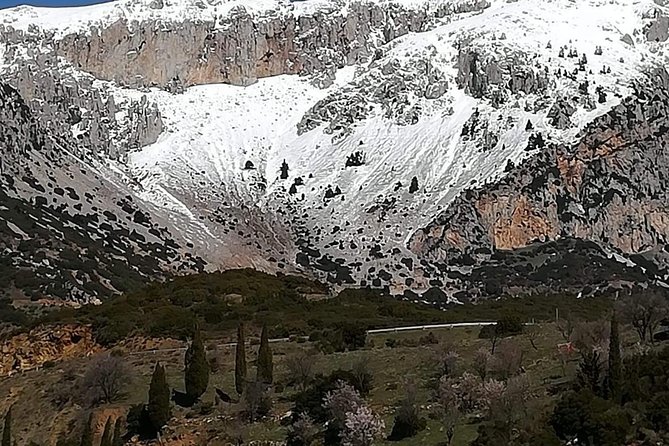 Delphi Full Day Private Tour: Temple of Apollo, Museum, Navel of Earth & Oracle - Exploring the Navel of the Earth and the Tholos of Athena Pronaia