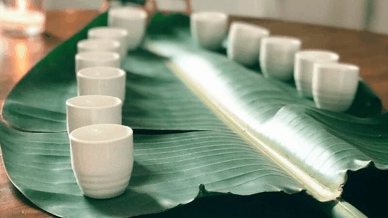 Delta del Ebro  Artisan Miso Fermentation Visit & Tasting - How the Tour Explores Rice Culture and the Delta Natural Park